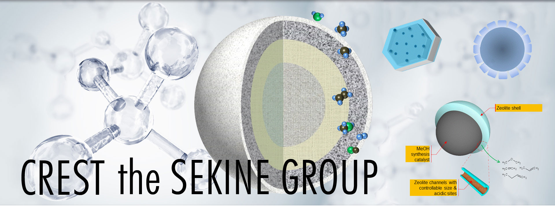 CREST the SEKINE group